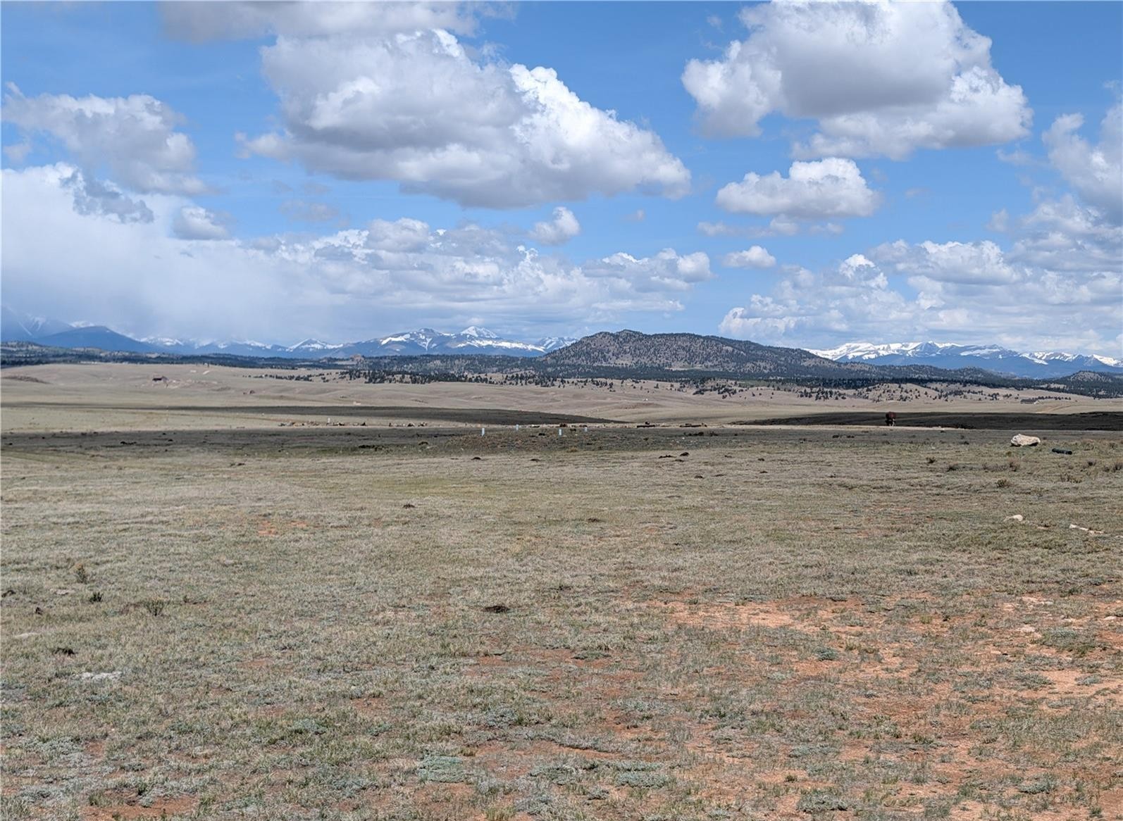 1920 Badger Basin Road Hartsel CO 80449