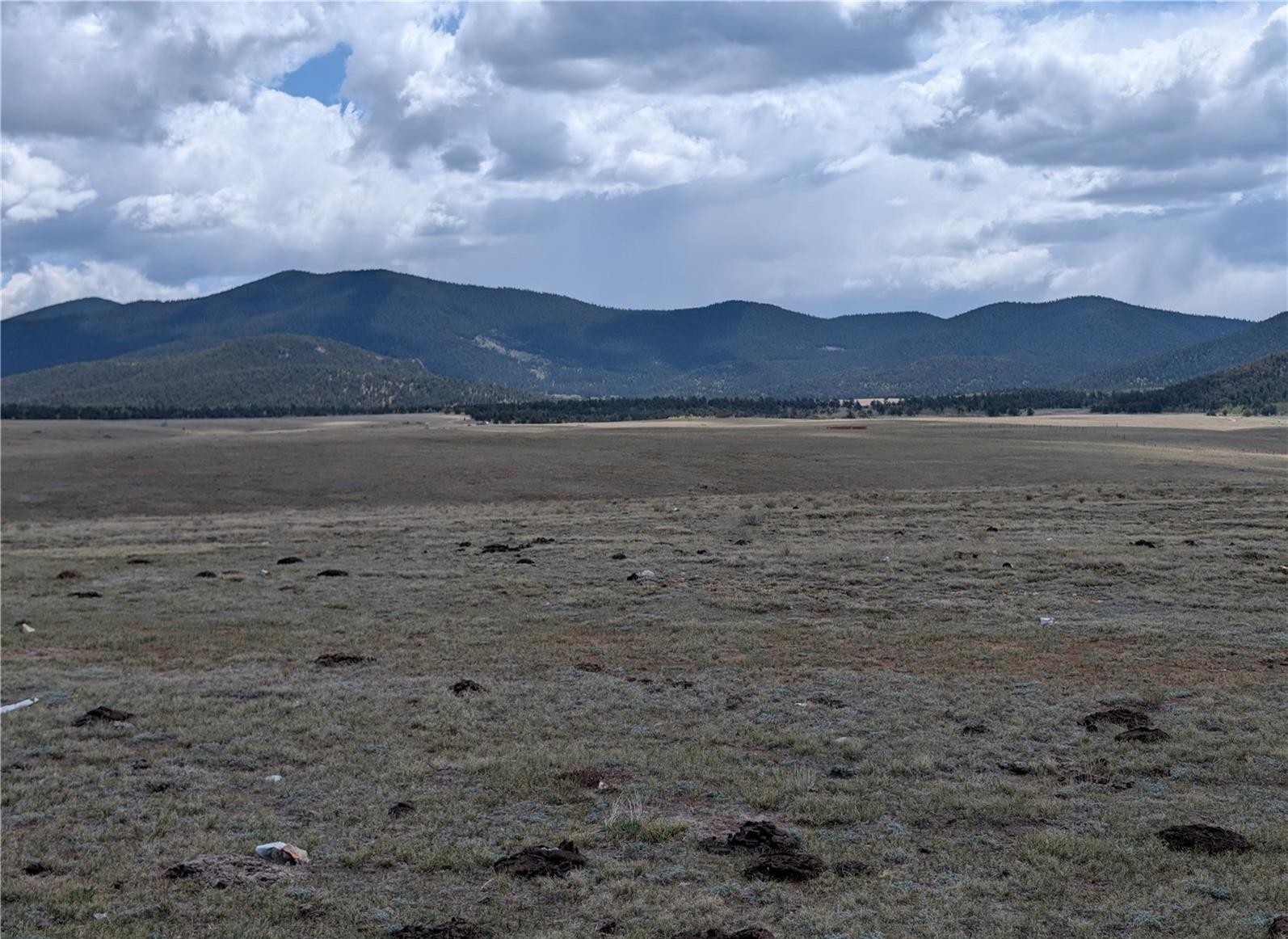 1920 Badger Basin Road Hartsel CO 80449
