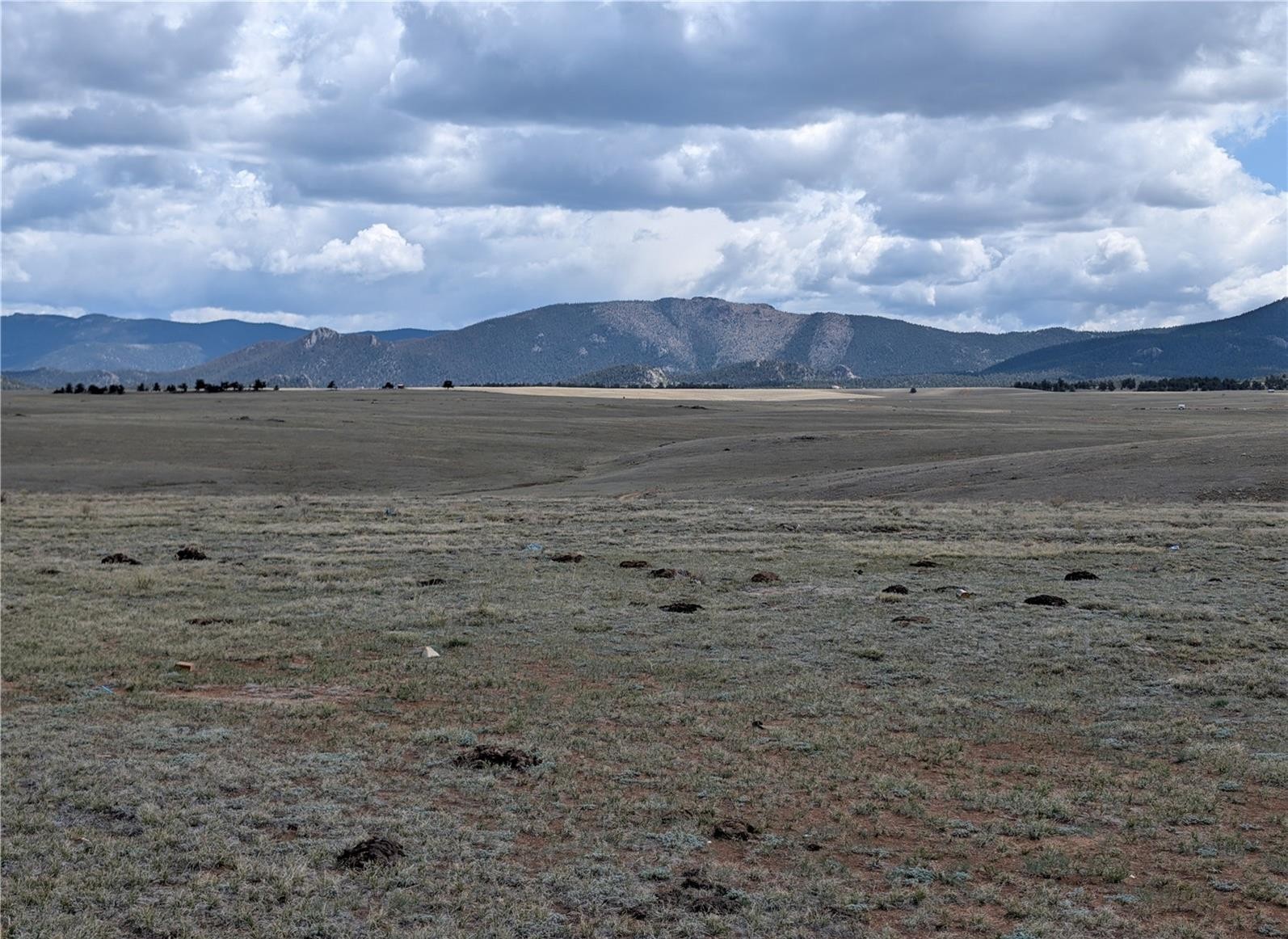 1920 Badger Basin Road Hartsel CO 80449