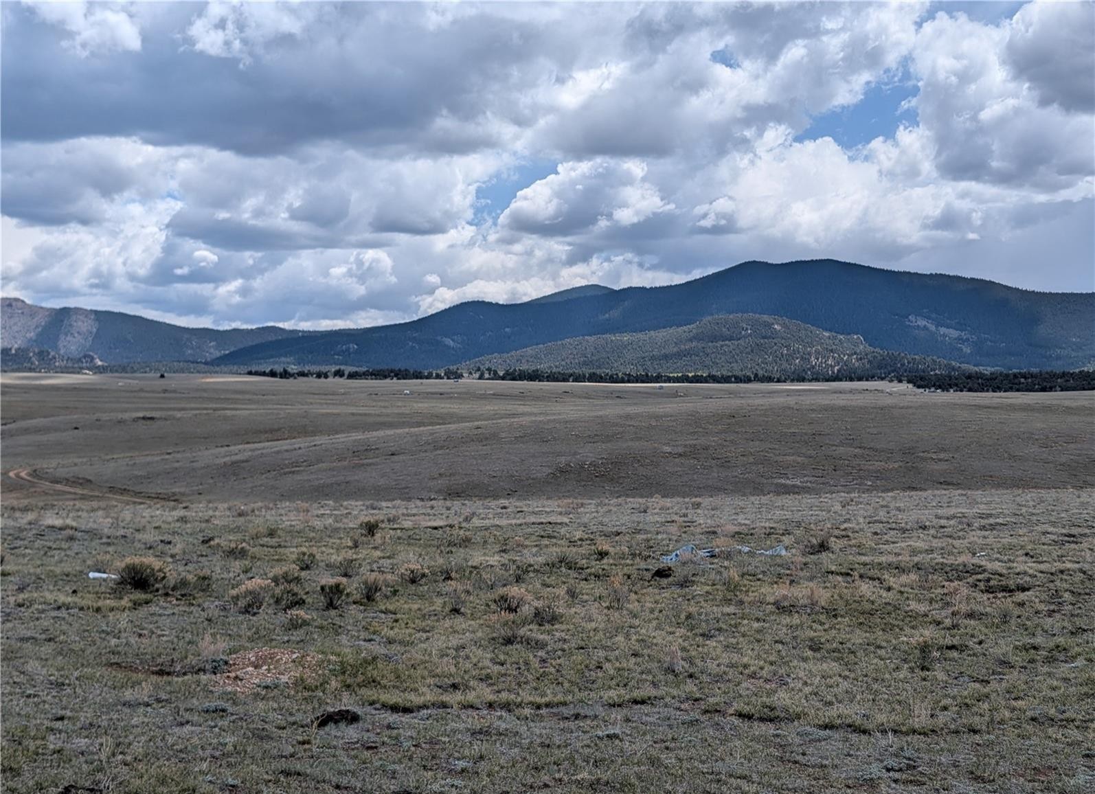 1920 Badger Basin Road Hartsel CO 80449