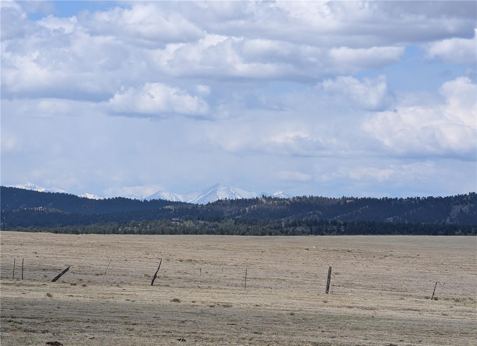 1920 Badger Basin Road Hartsel CO 80449