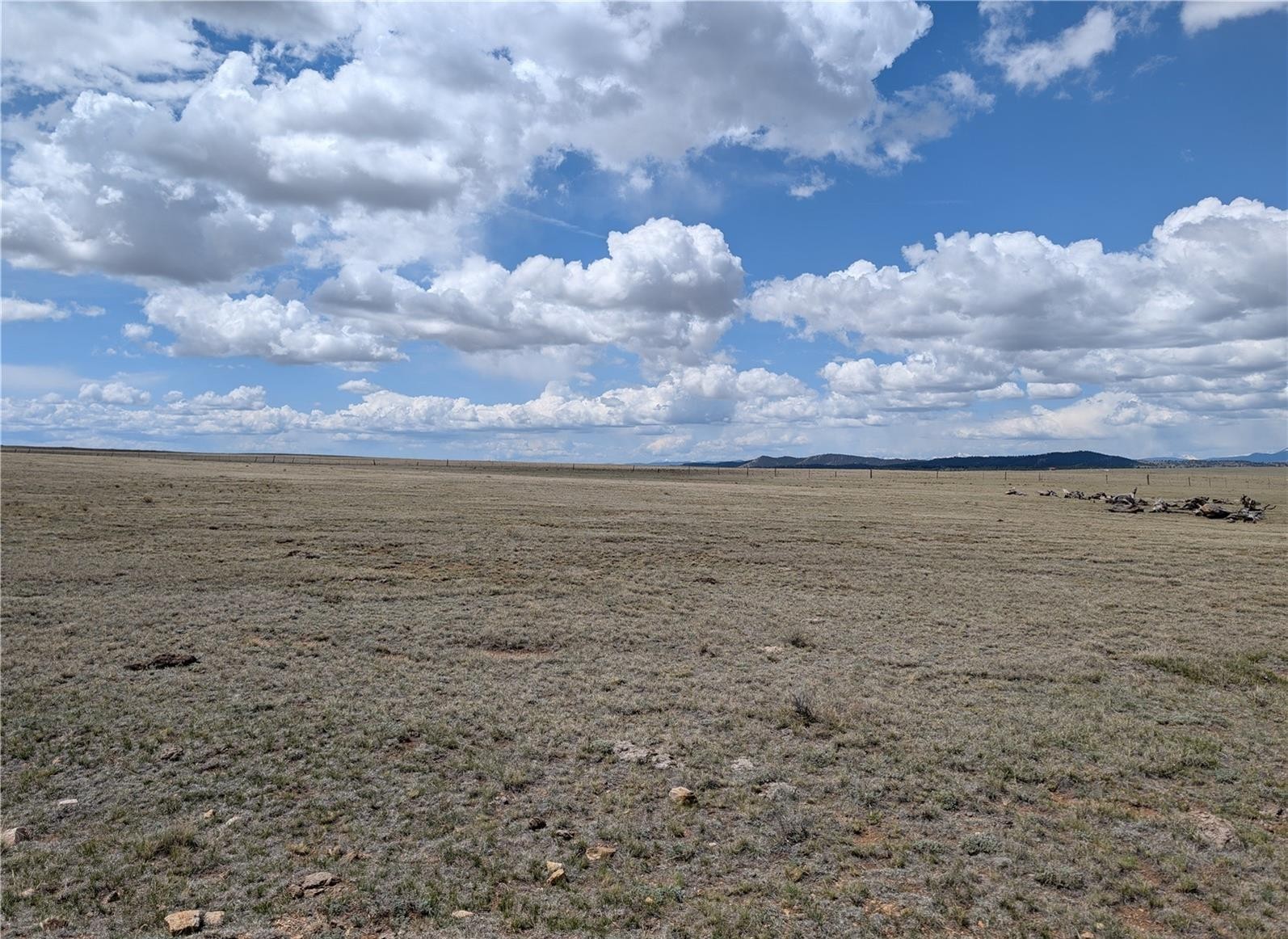 1920 Badger Basin Road Hartsel CO 80449