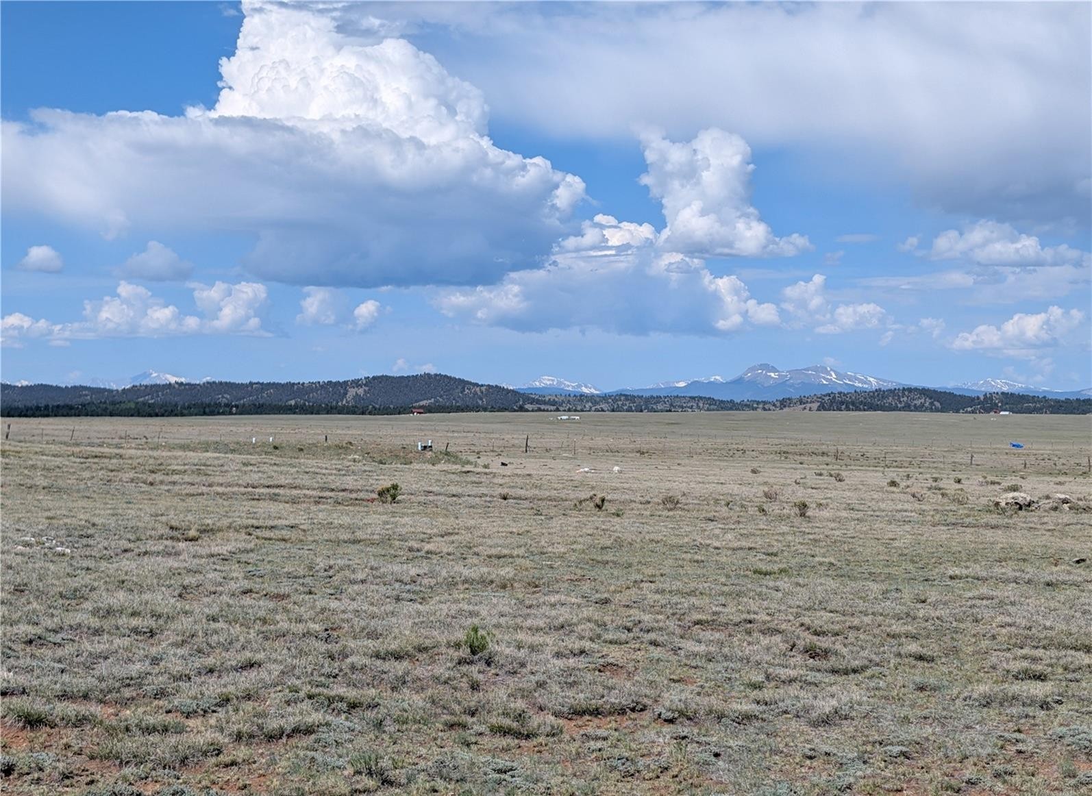 1920 Badger Basin Road Hartsel CO 80449