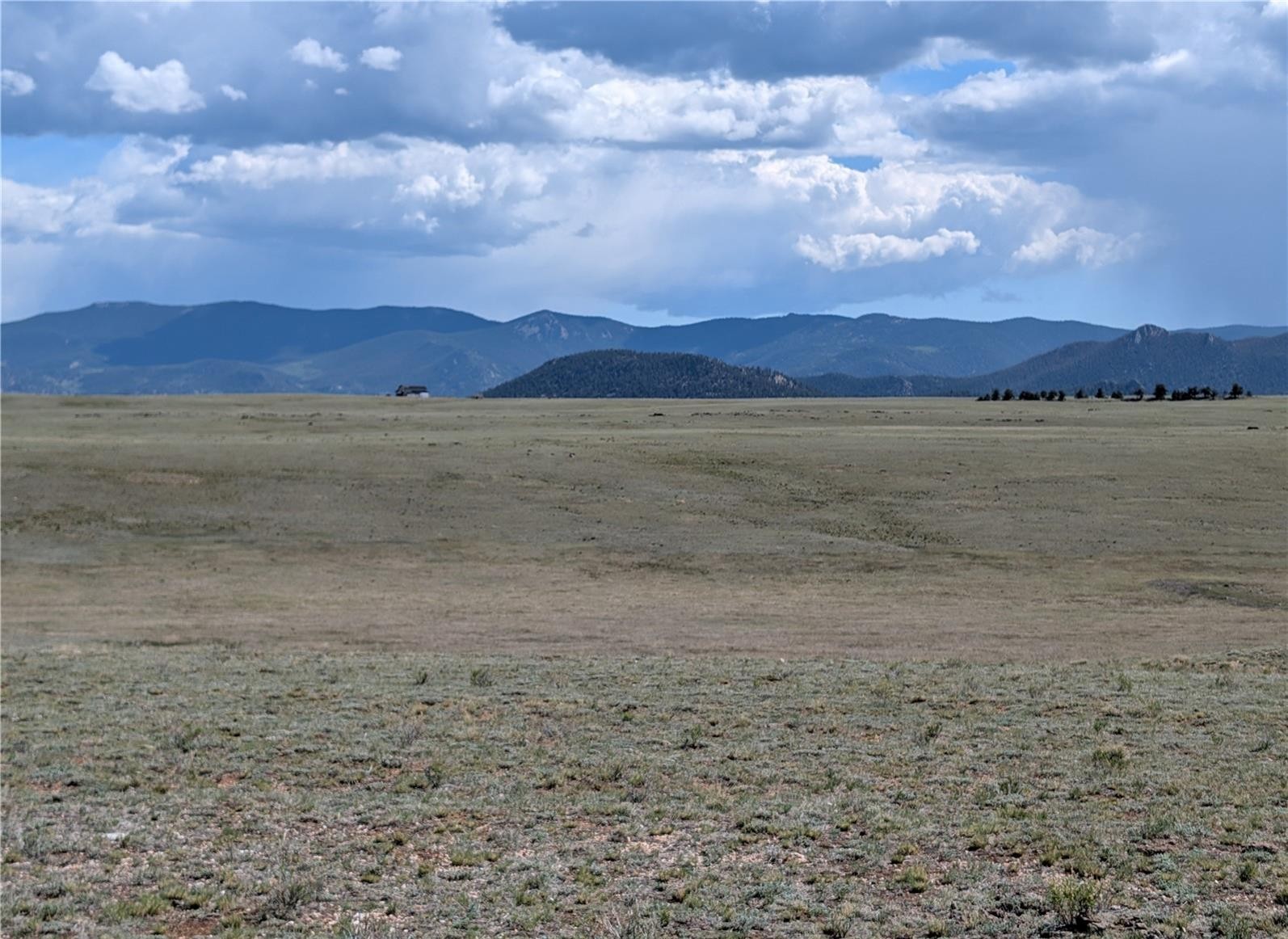 1920 Badger Basin Road Hartsel CO 80449