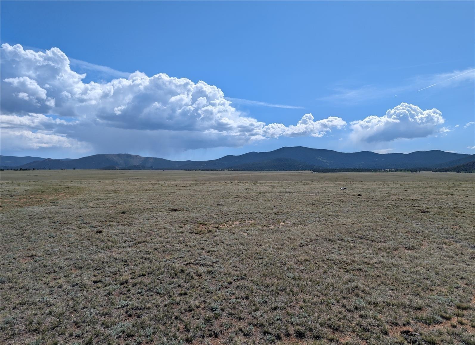1920 Badger Basin Road Hartsel CO 80449