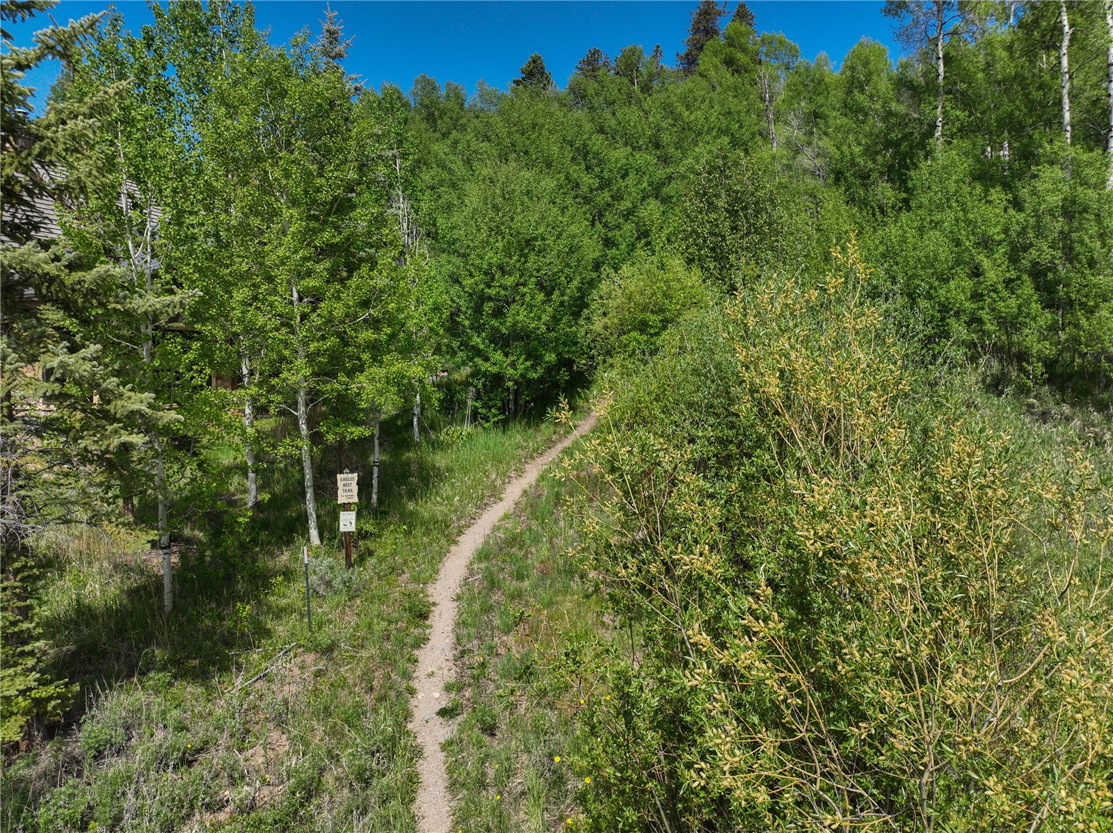 120 Bull Lake Court Silverthorne CO 80498