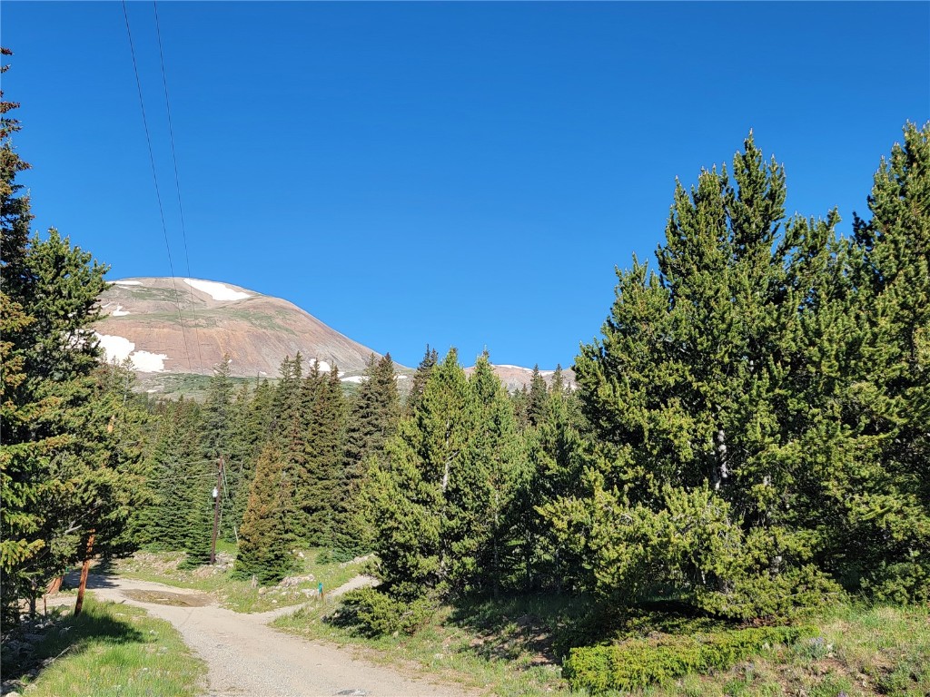 22 Rons Road Alma CO 80420
