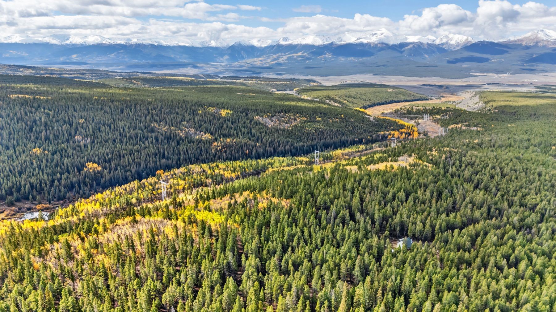 4227 J M C Leadville CO 80461