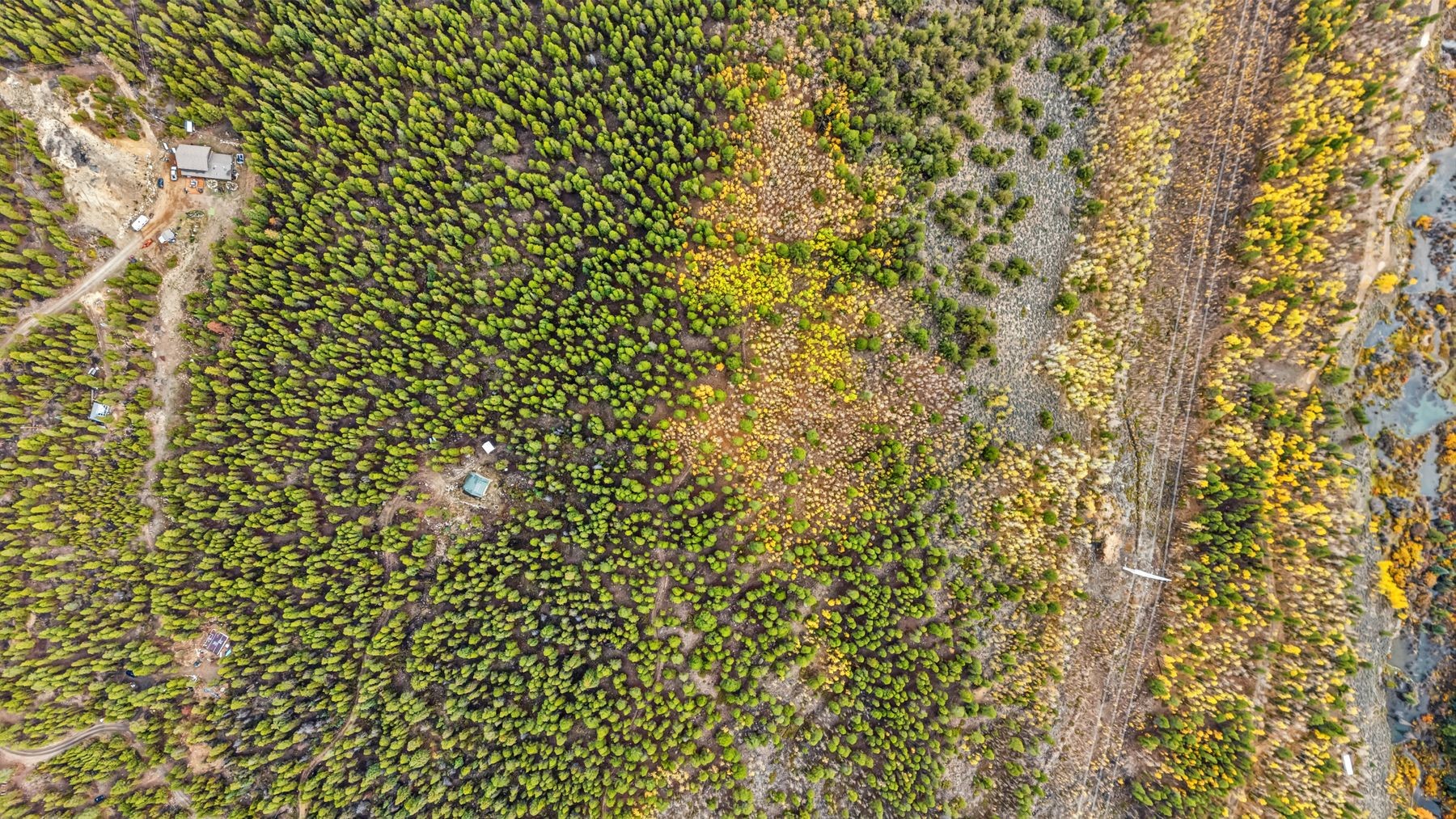 4227 J M C Leadville CO 80461