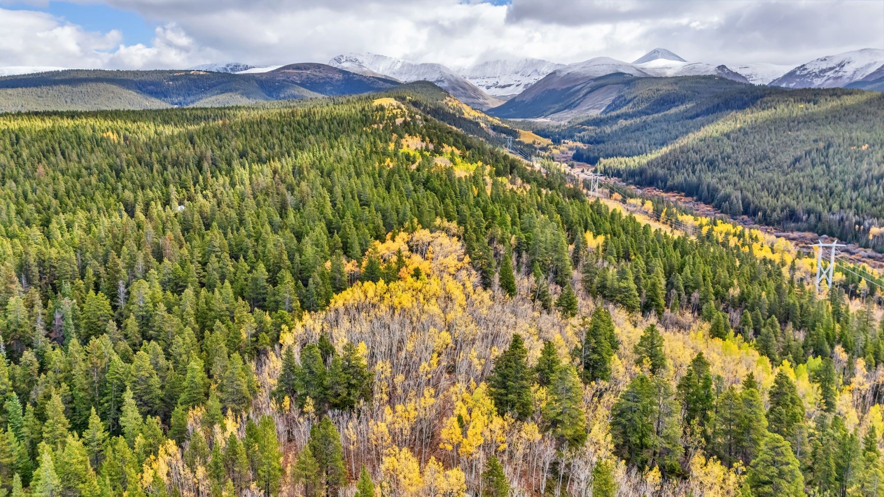 4227 J M C Leadville CO 80461