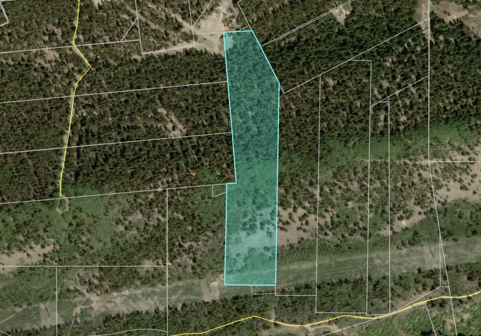 4227 J M C Leadville CO 80461