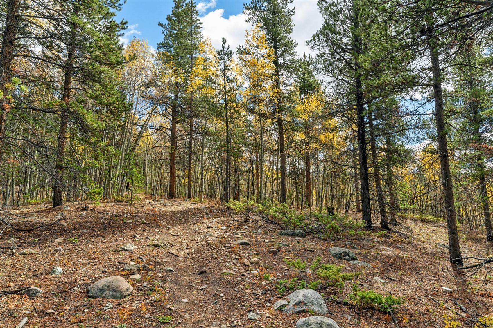 4227 J M C Leadville CO 80461