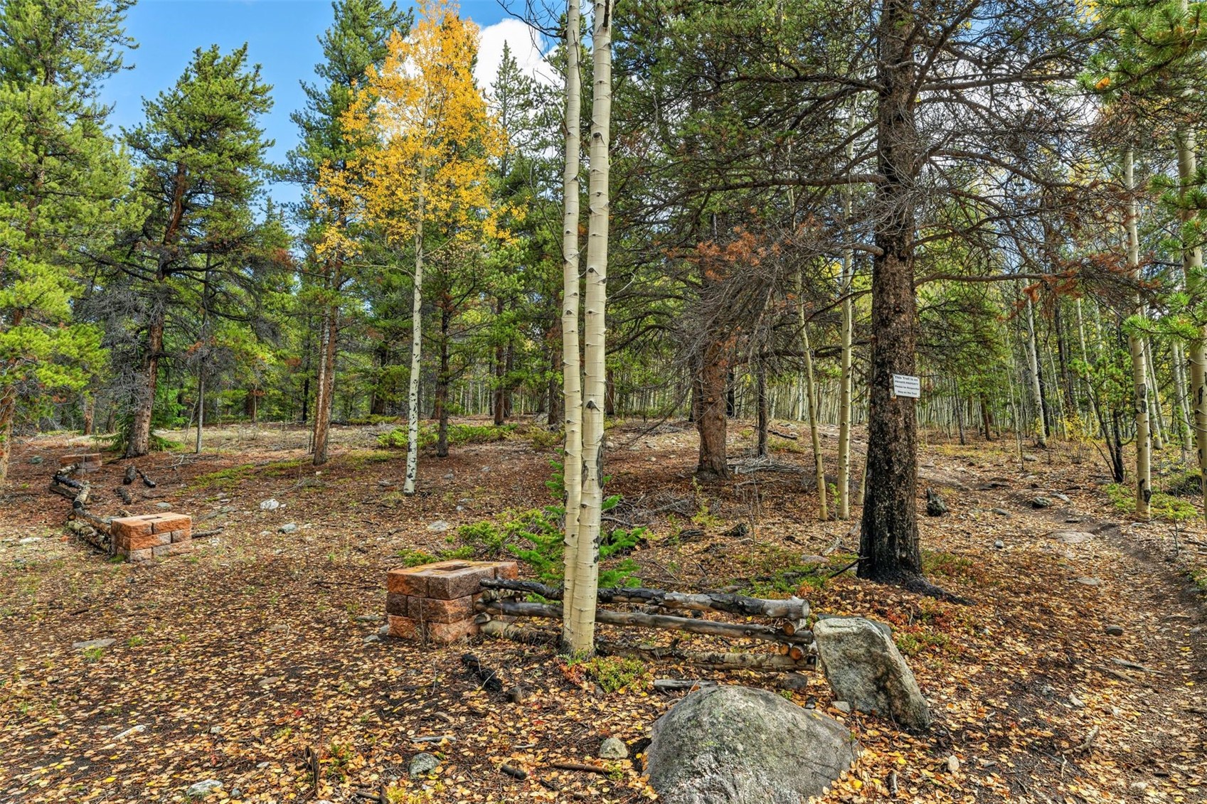 4227 J M C Leadville CO 80461