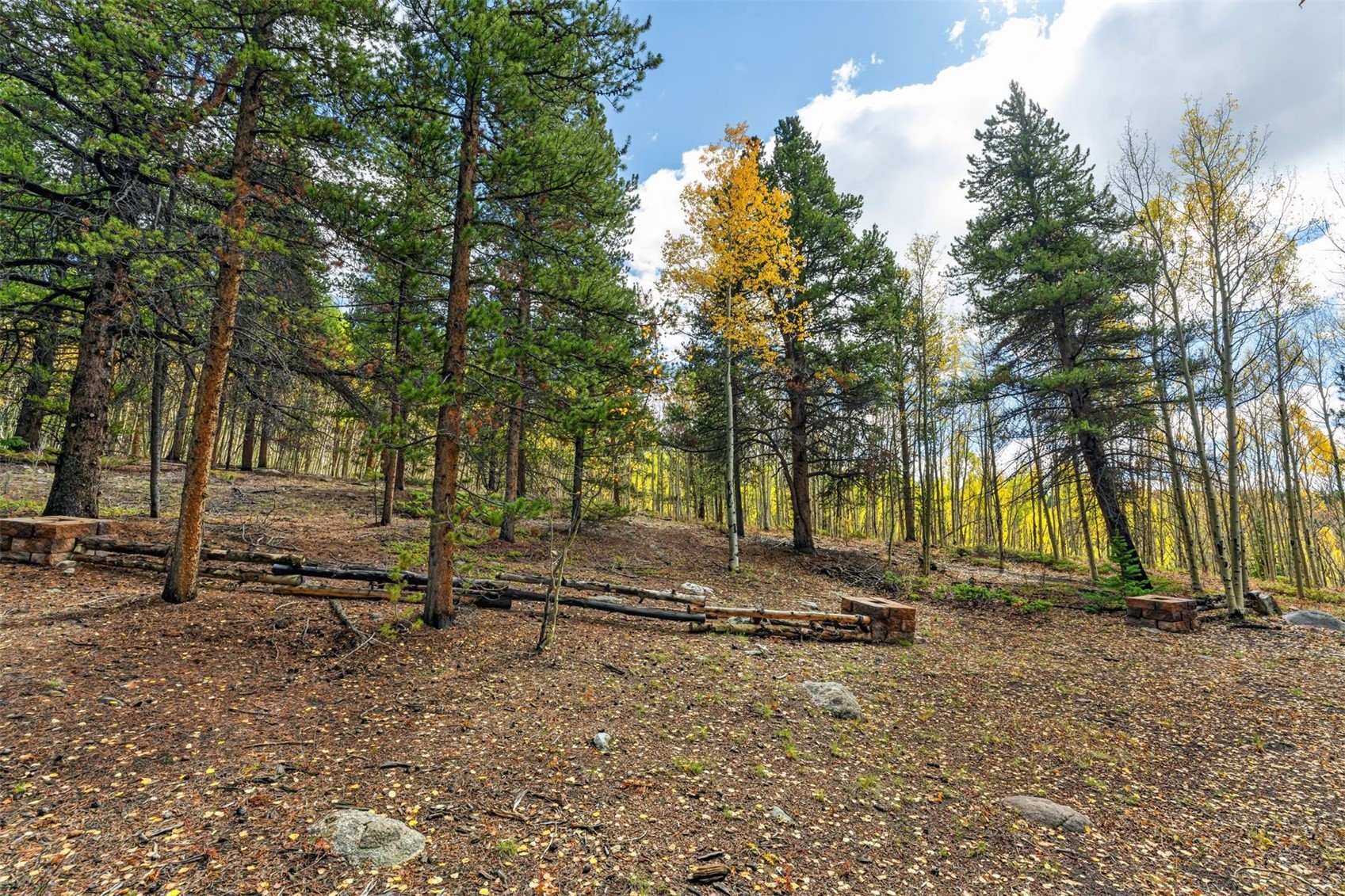 4227 J M C Leadville CO 80461