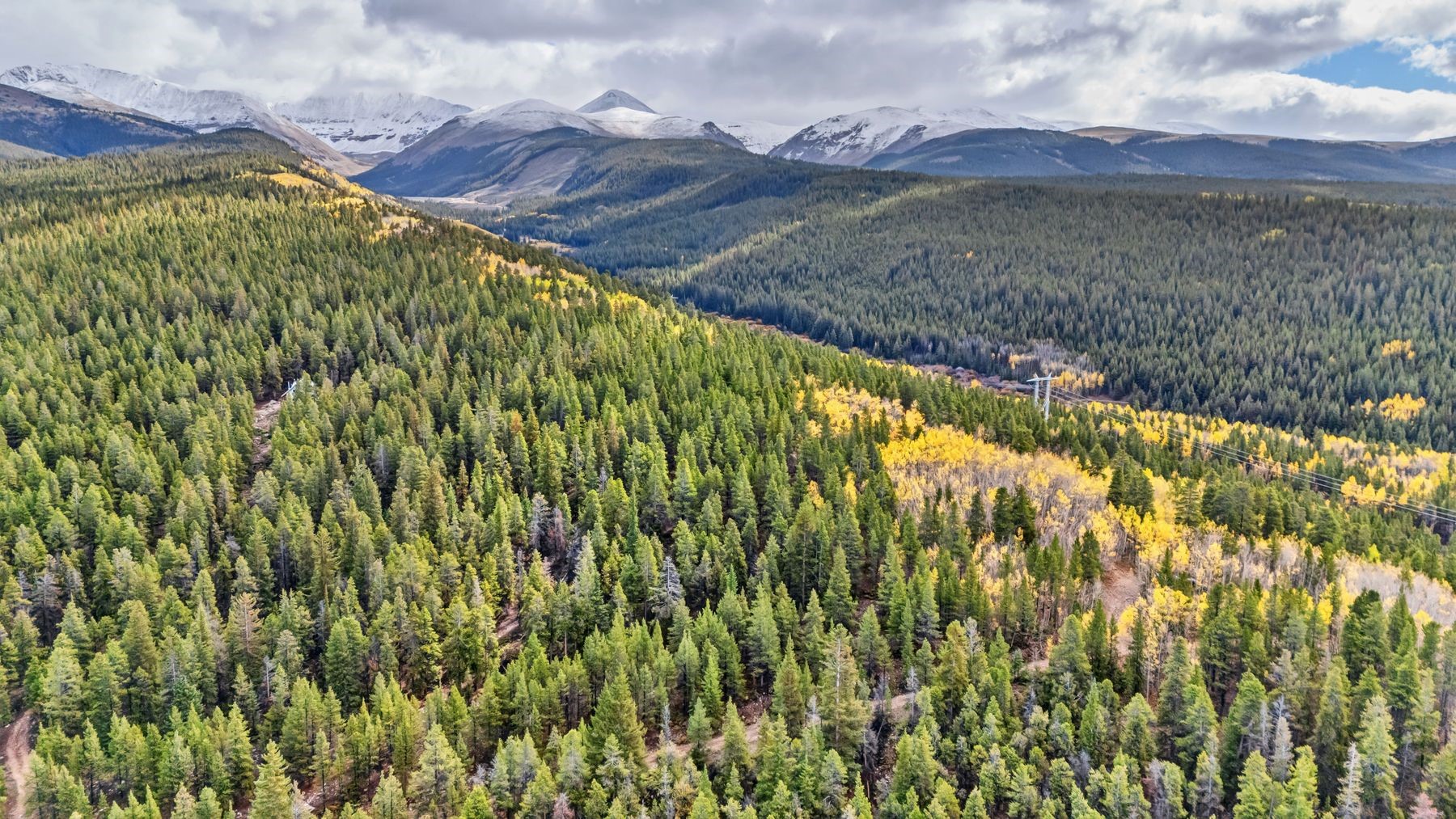 4227 J M C Leadville CO 80461