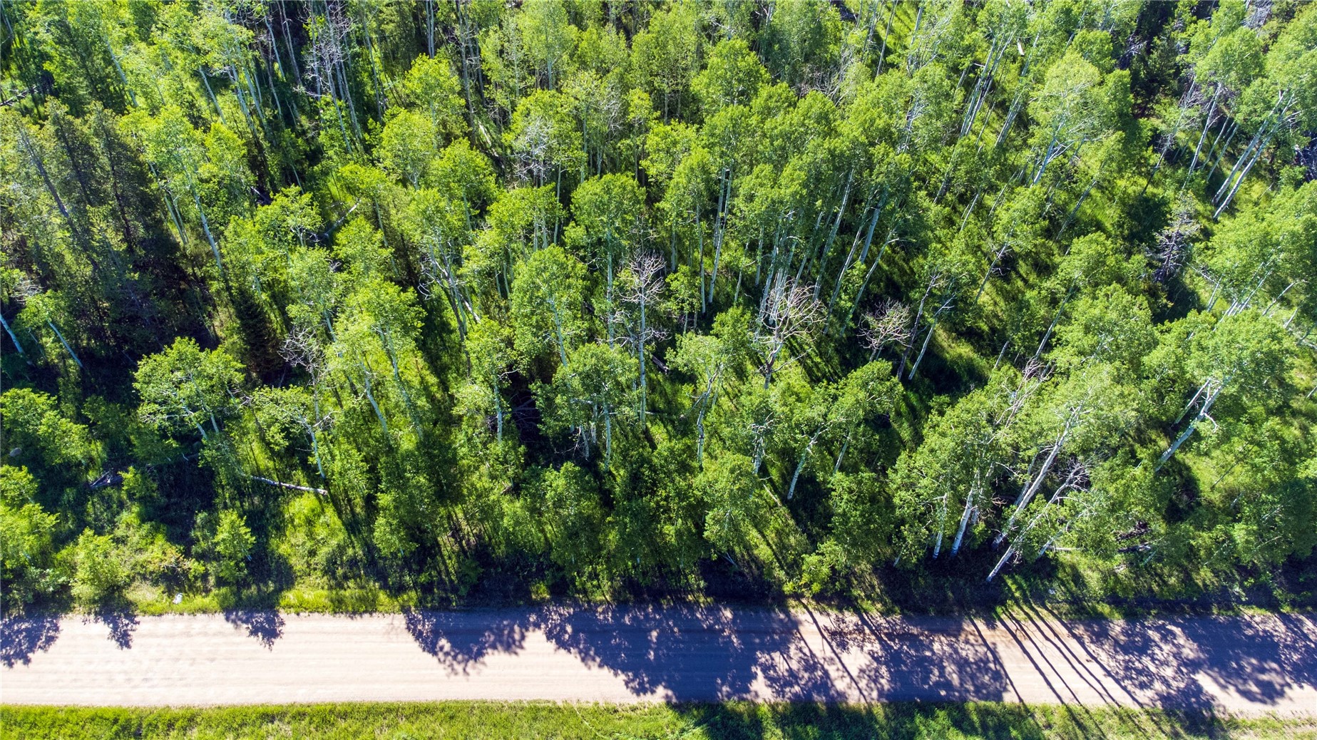 33245 Wenatchi Trail Oak Creek CO 80467