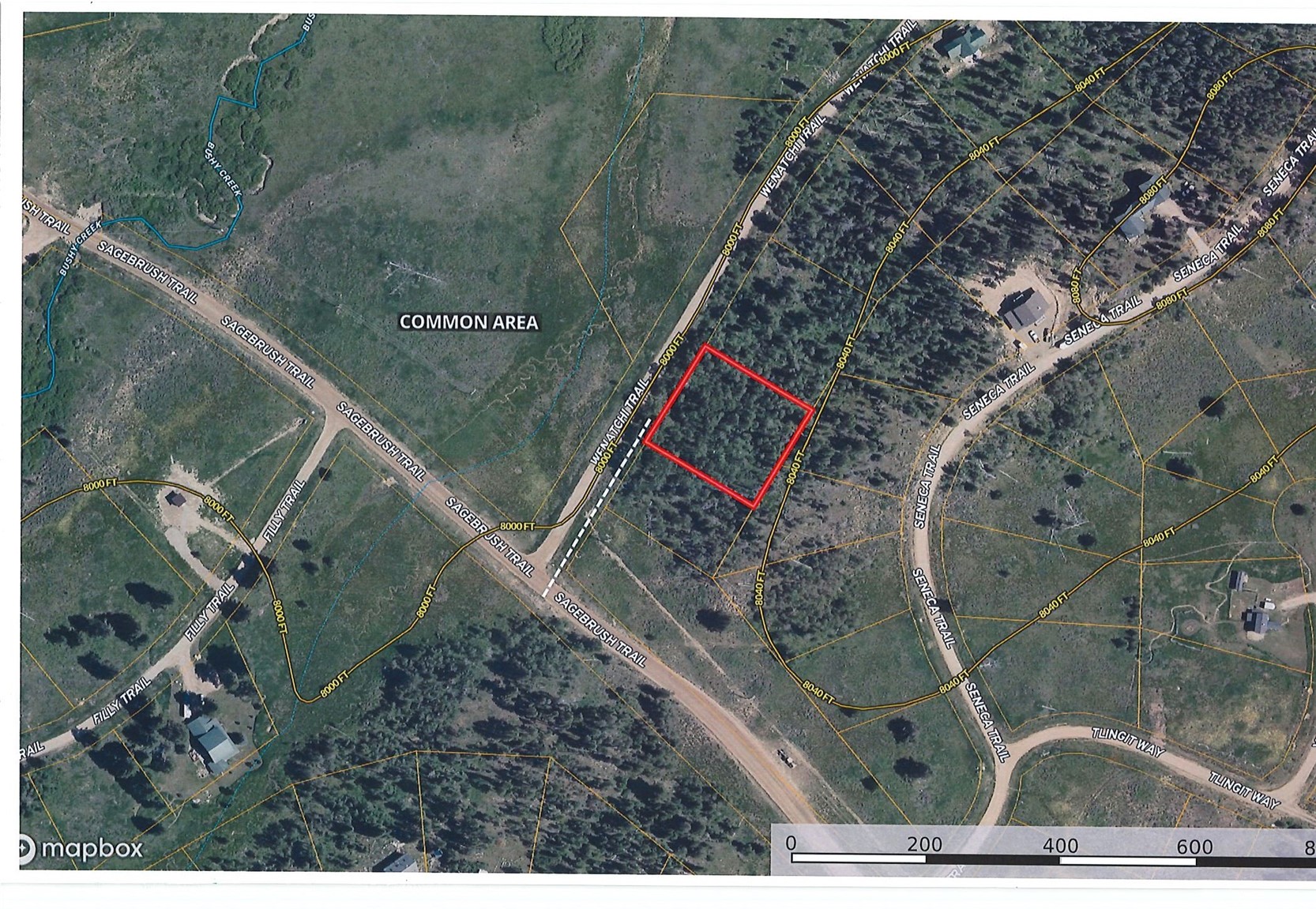 33245 Wenatchi Trail Oak Creek CO 80467