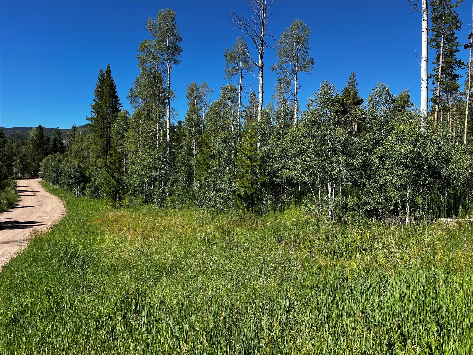 33245 Wenatchi Trail Oak Creek CO 80467