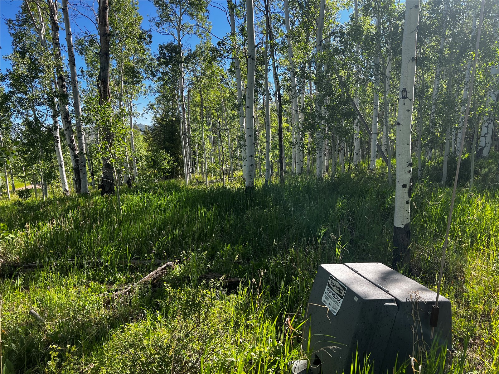 33245 Wenatchi Trail Oak Creek CO 80467