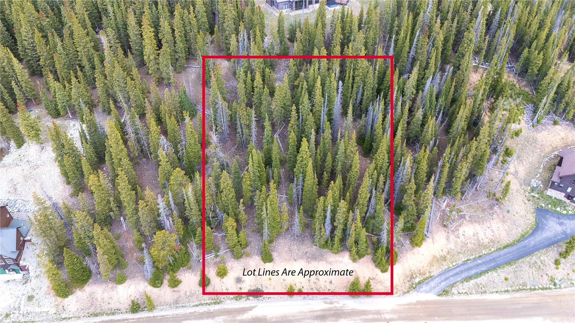 301 Kimmes Lane Breckenridge CO 80424