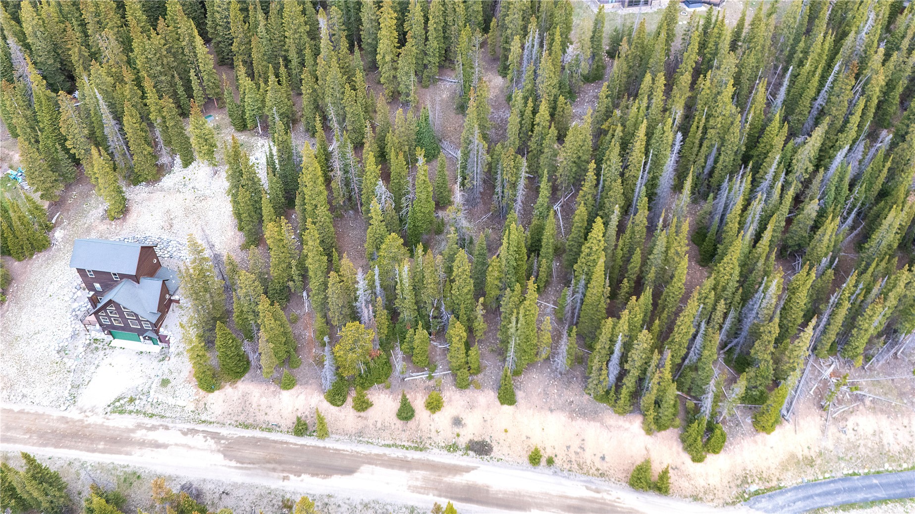 301 Kimmes Lane Breckenridge CO 80424