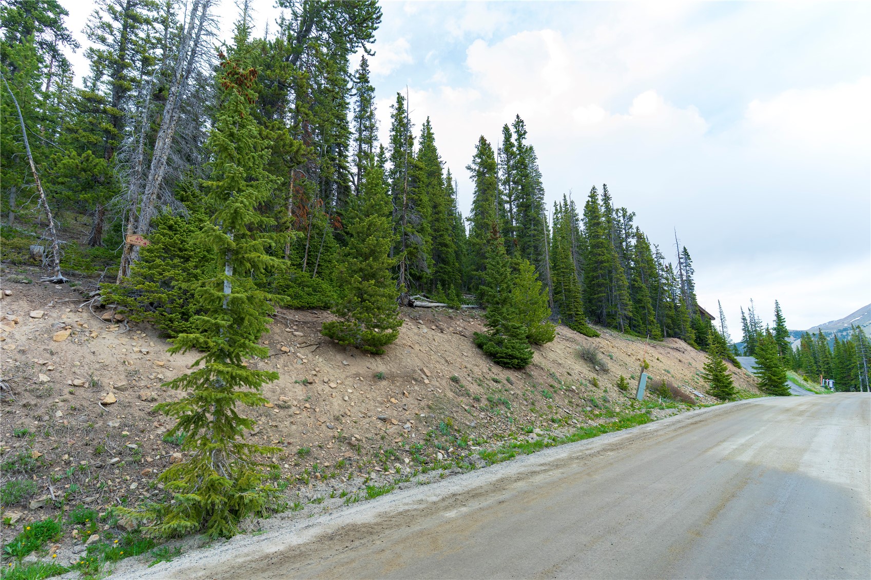 301 Kimmes Lane Breckenridge CO 80424