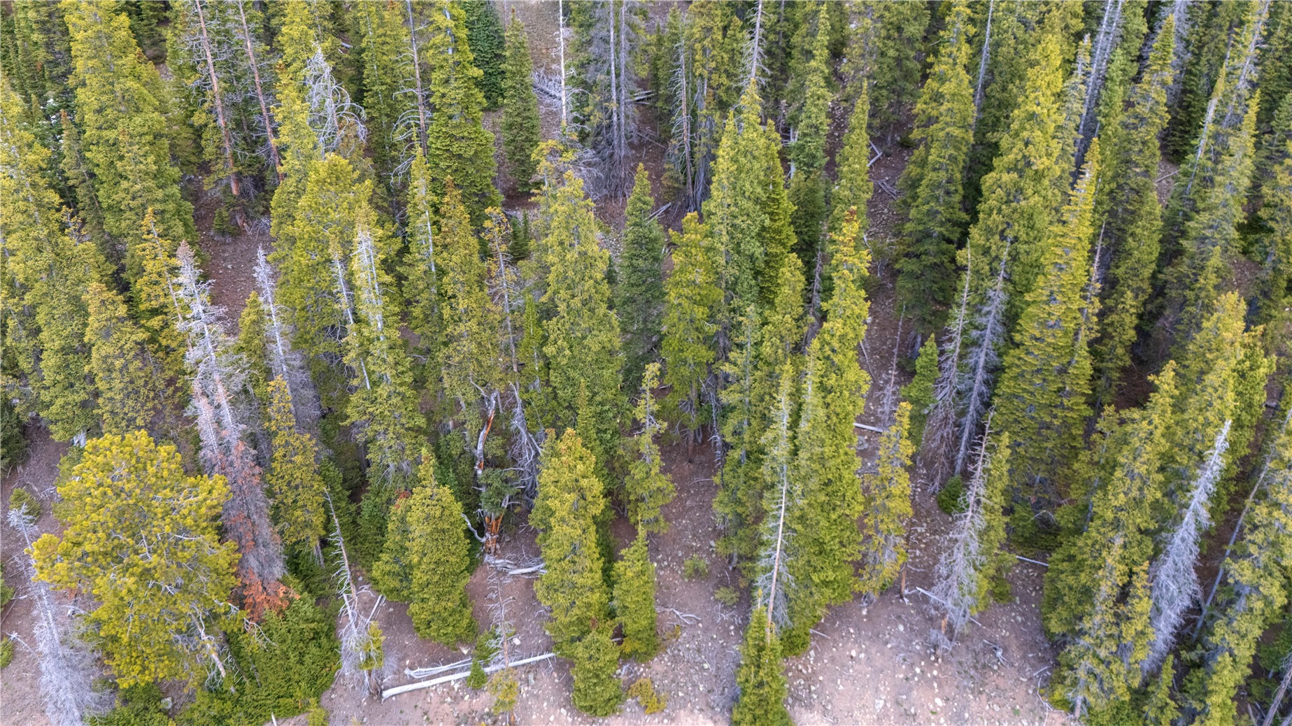 301 Kimmes Lane Breckenridge CO 80424