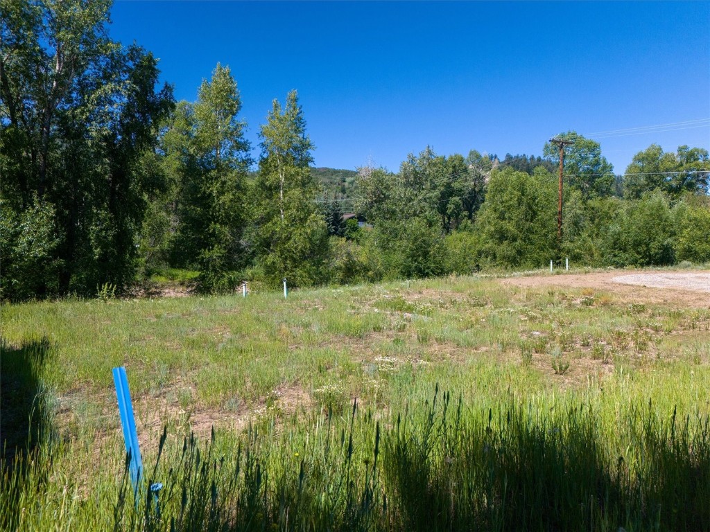 303 Riverview Way Steamboat Springs CO 80487