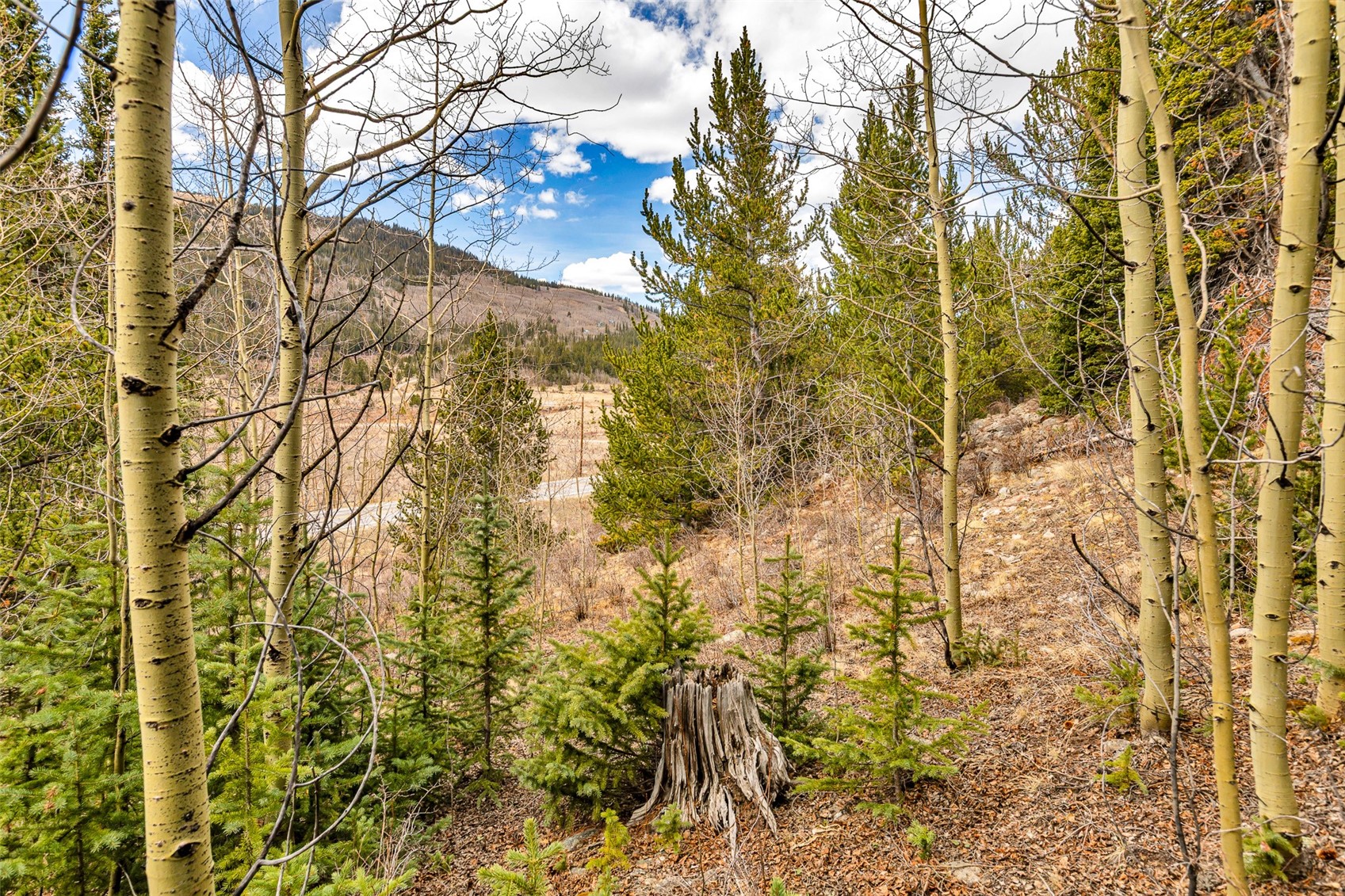 55780 Highway 9 Alma CO 80440