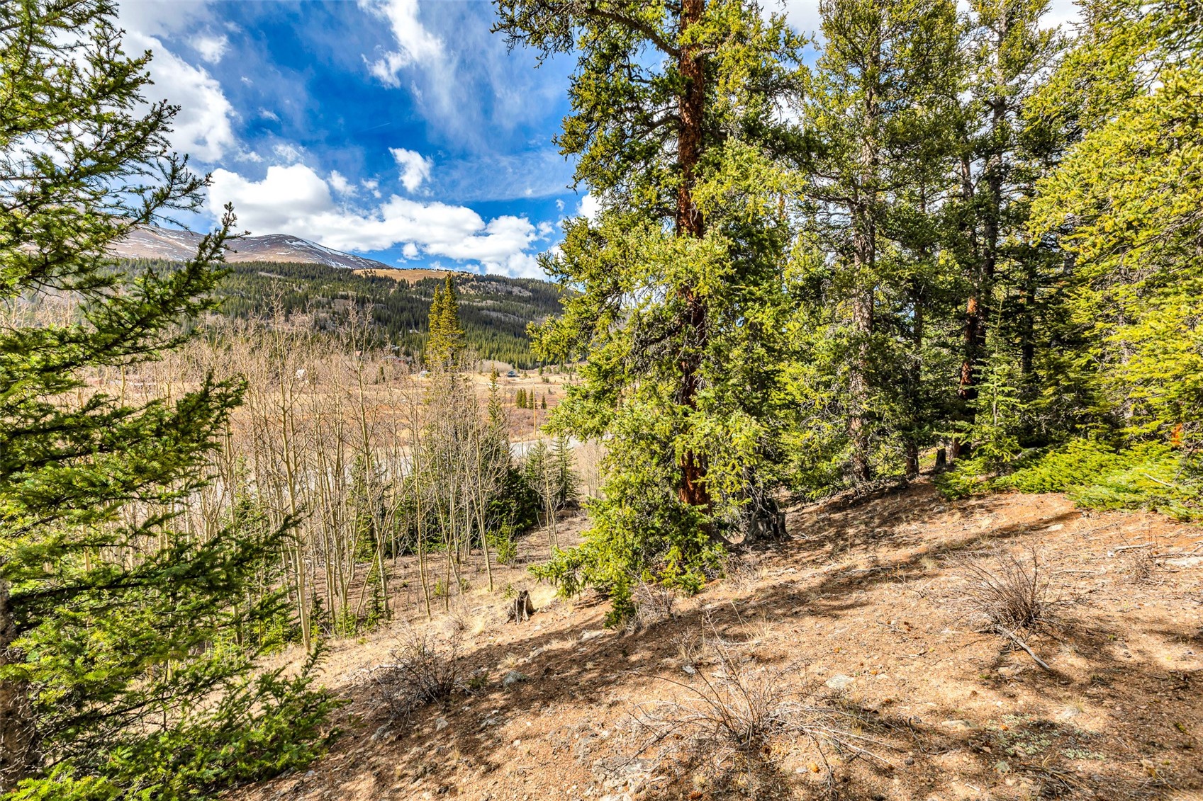 55780 Highway 9 Alma CO 80440