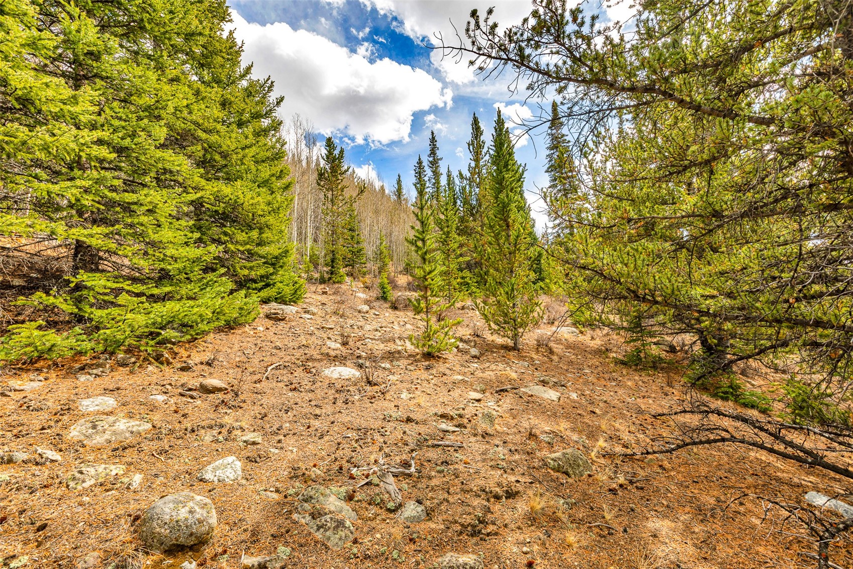 55780 Highway 9 Alma CO 80440