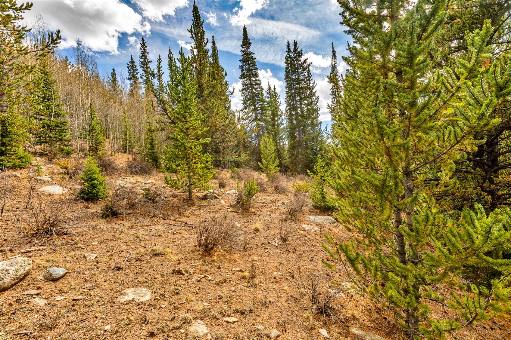 55780 Highway 9 Alma CO 80440