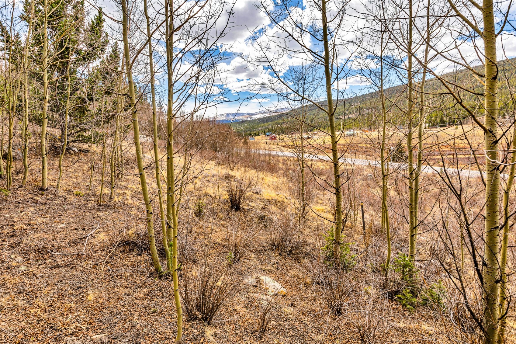 55780 Highway 9 Alma CO 80440
