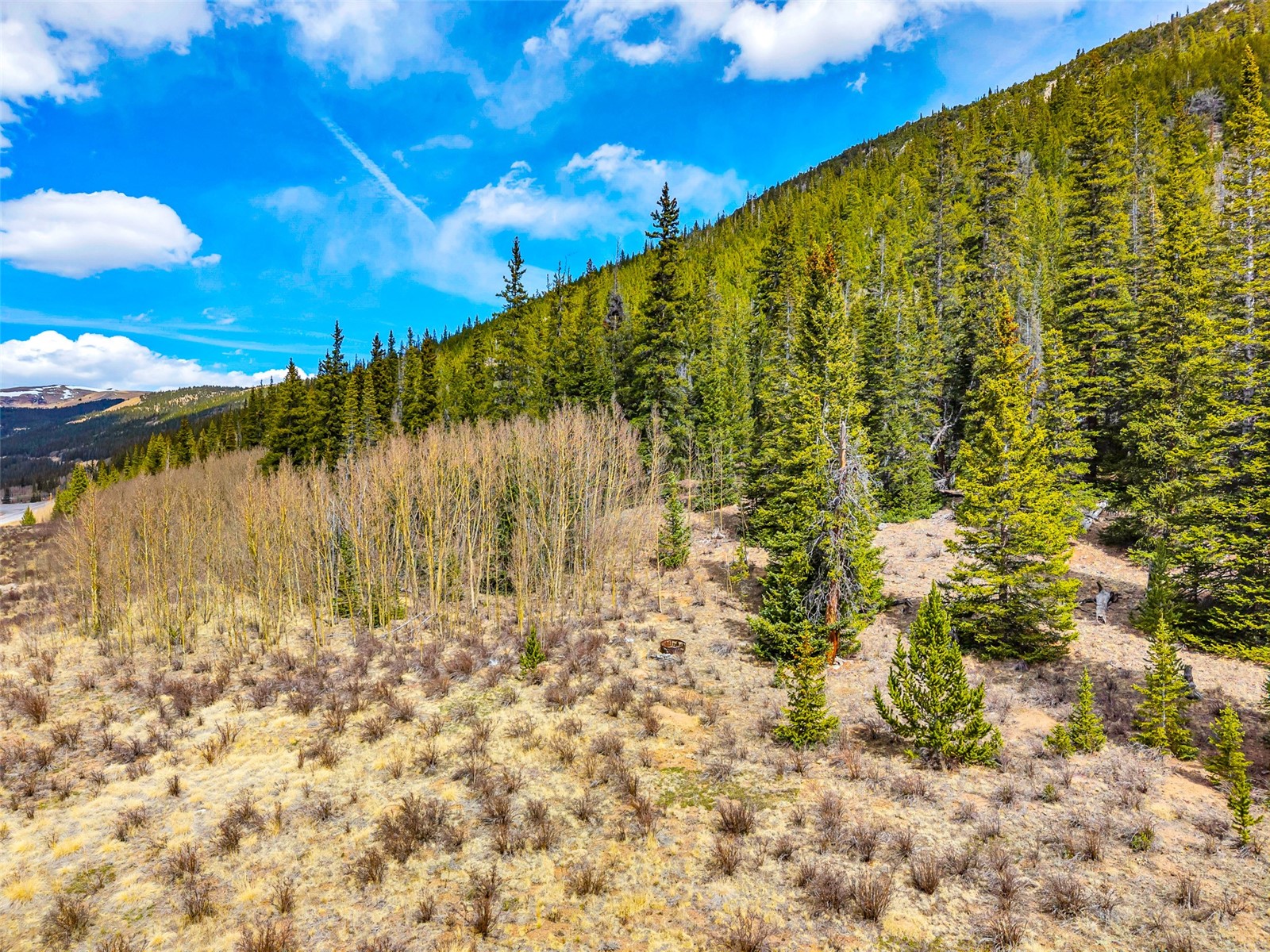 55780 Highway 9 Alma CO 80440
