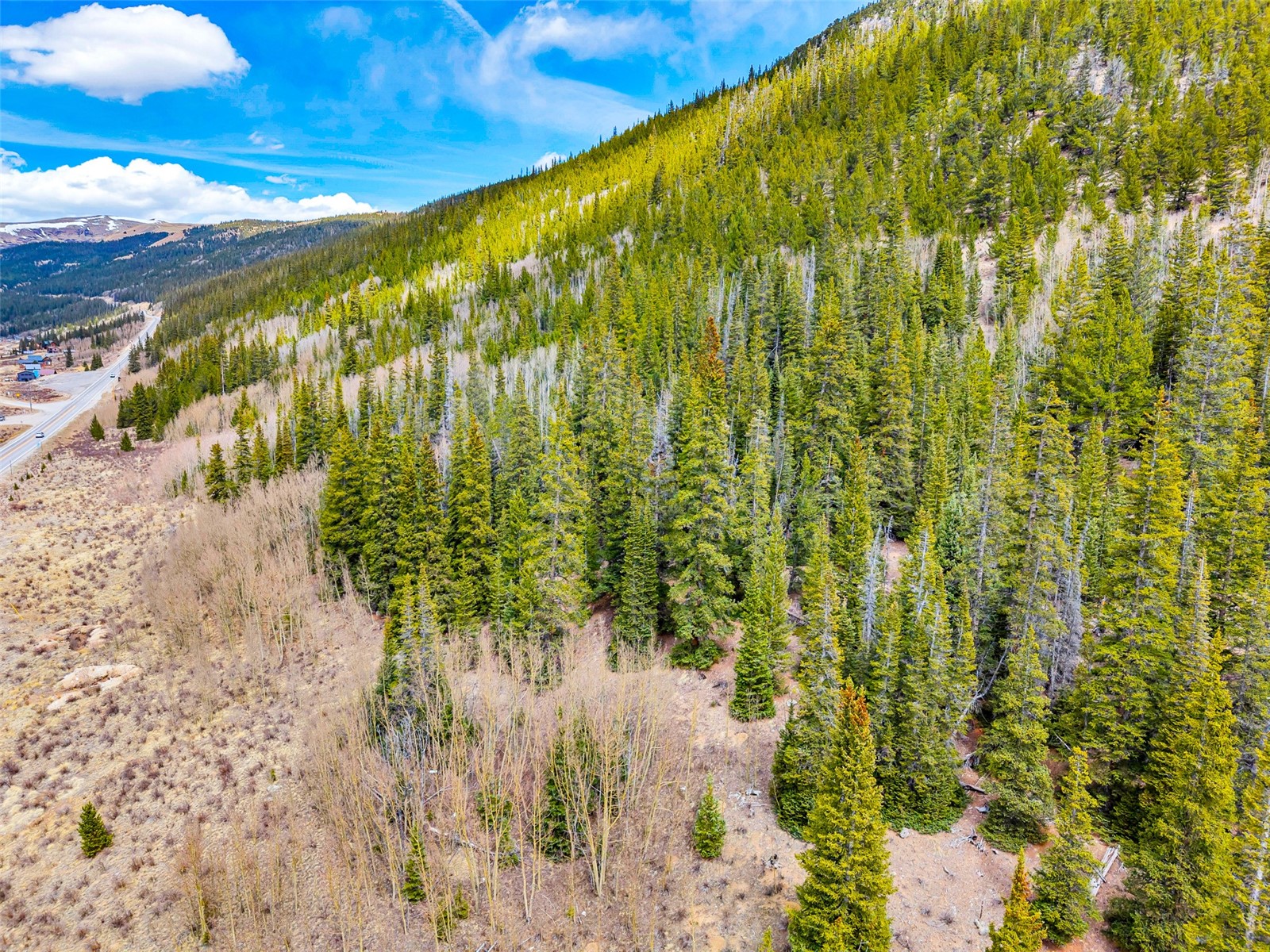 55780 Highway 9 Alma CO 80440