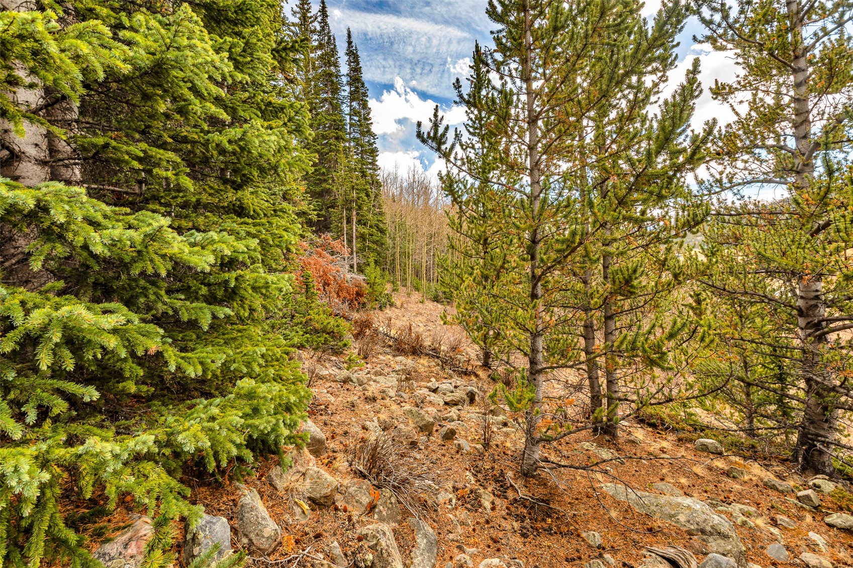 55780 Highway 9 Alma CO 80440