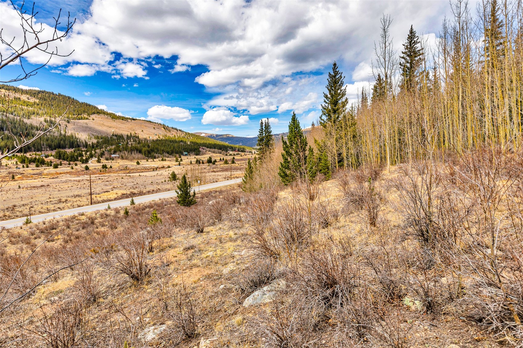55780 Highway 9 Alma CO 80440