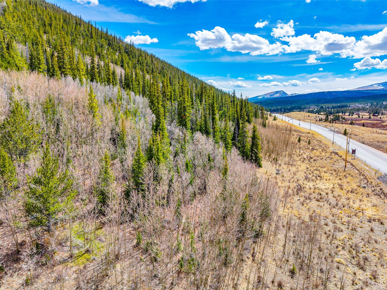 55780 Highway 9 Alma CO 80440