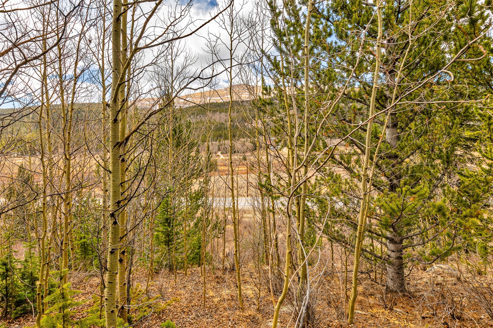 55780 Highway 9 Alma CO 80440