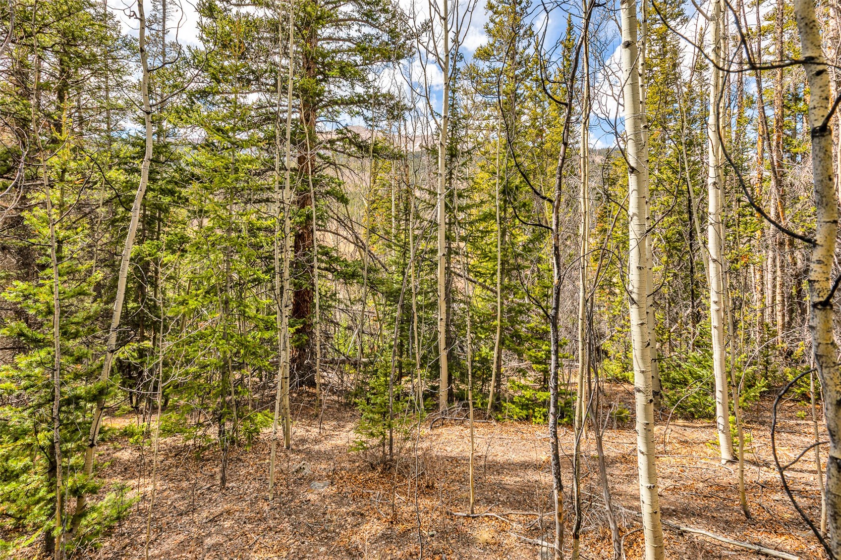 55780 Highway 9 Alma CO 80440
