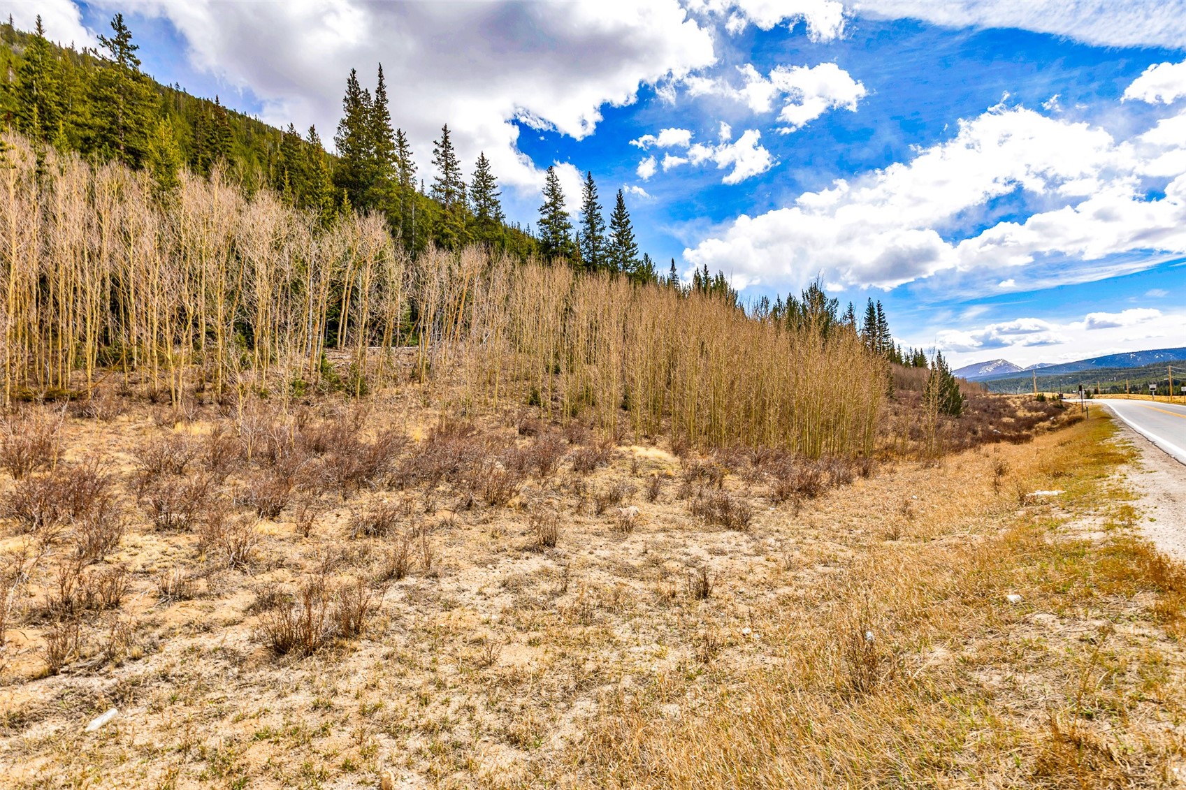 55780 Highway 9 Alma CO 80440