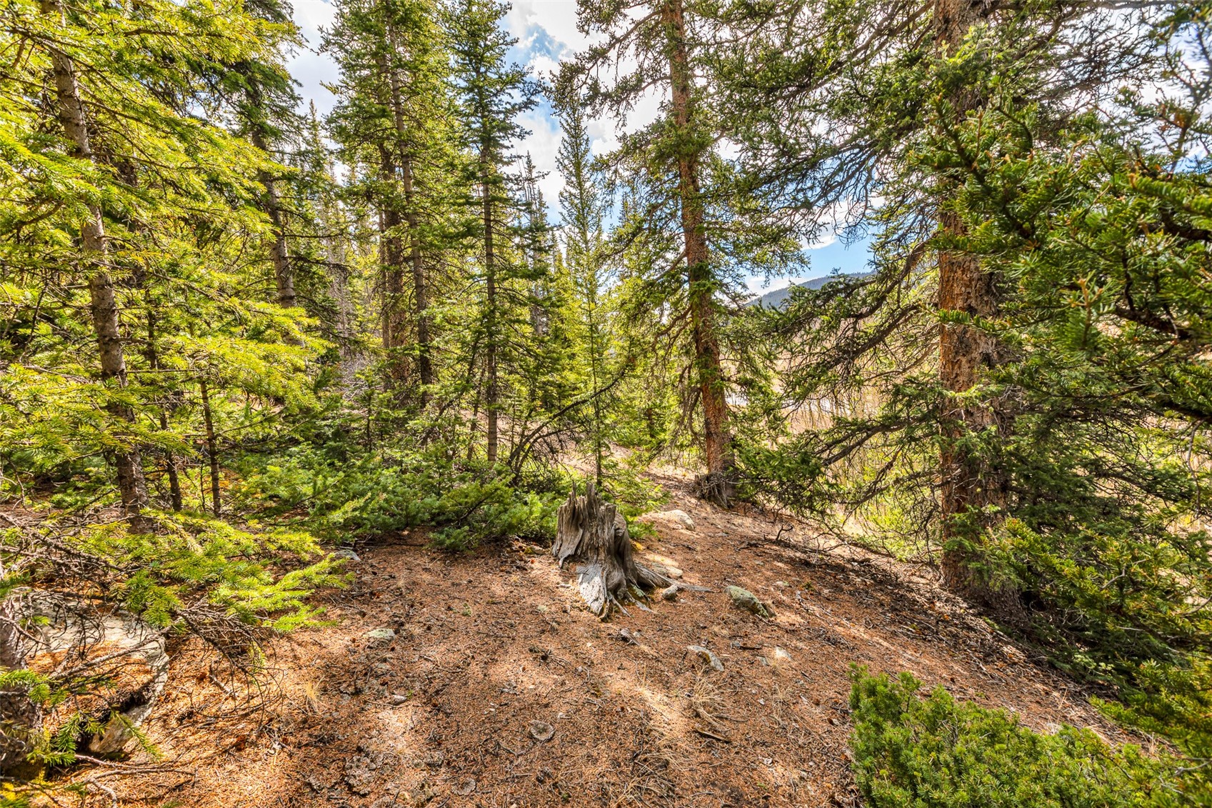 55780 Highway 9 Alma CO 80440