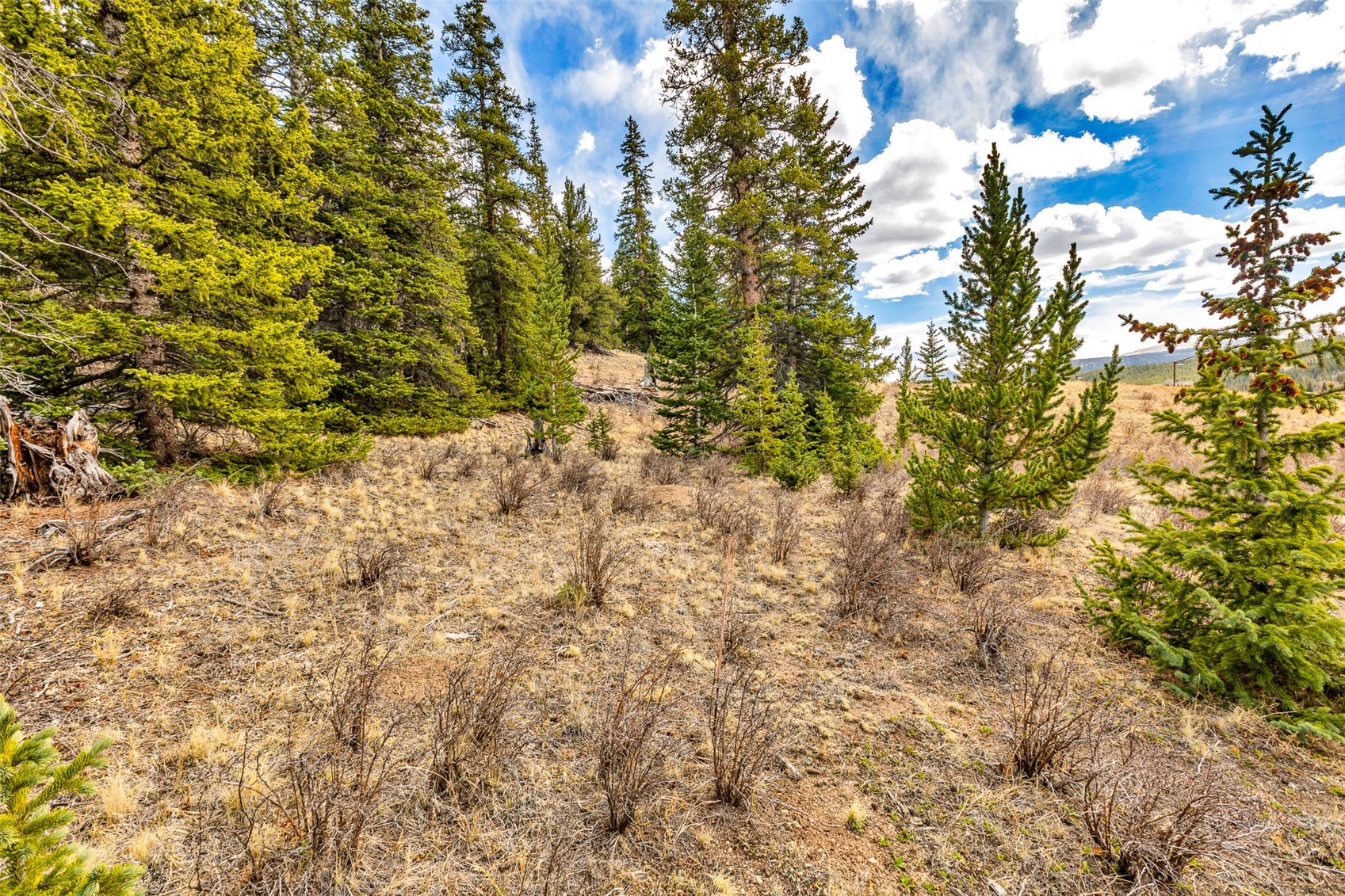 55780 Highway 9 Alma CO 80440