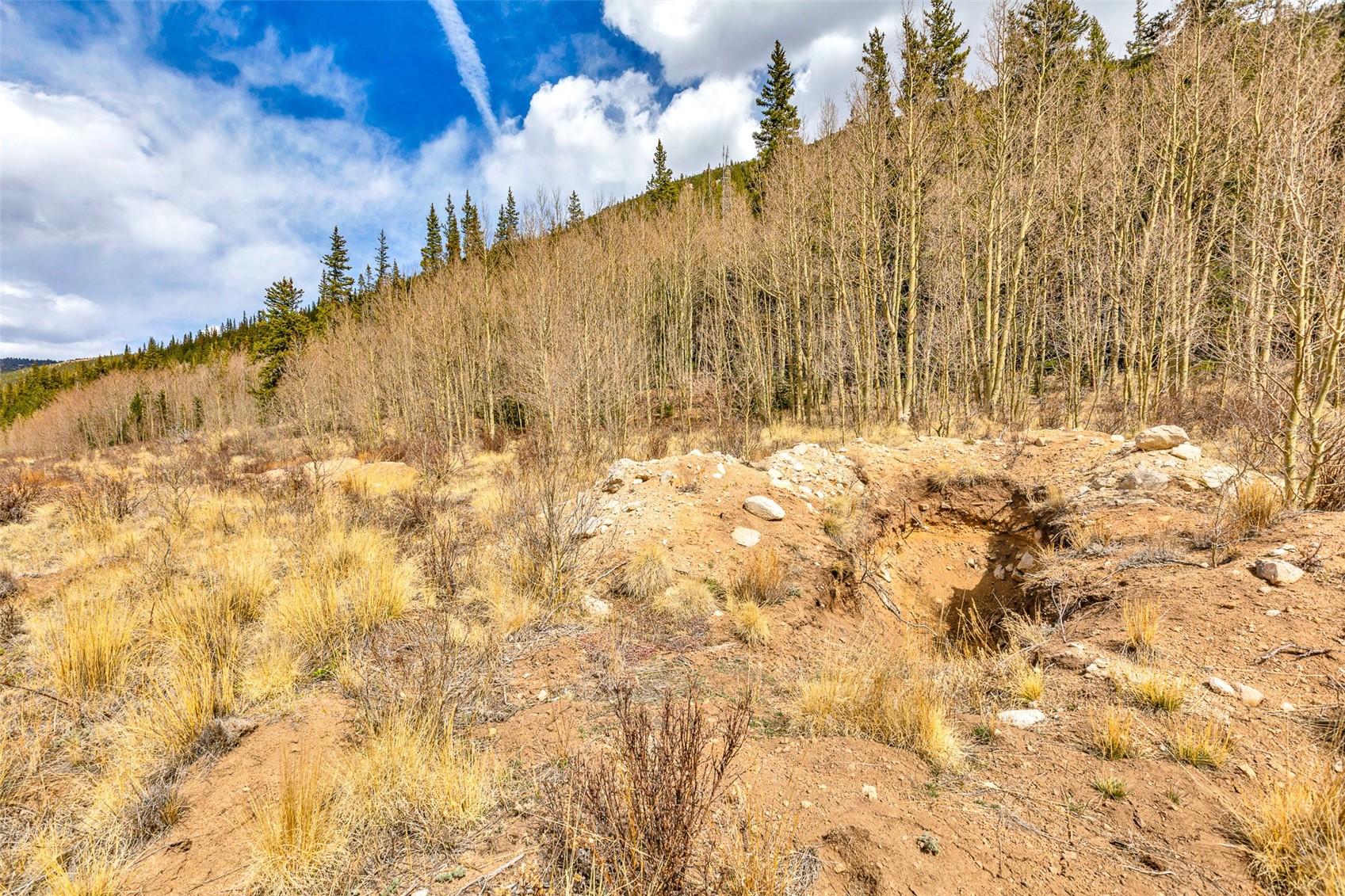 55780 Highway 9 Alma CO 80440
