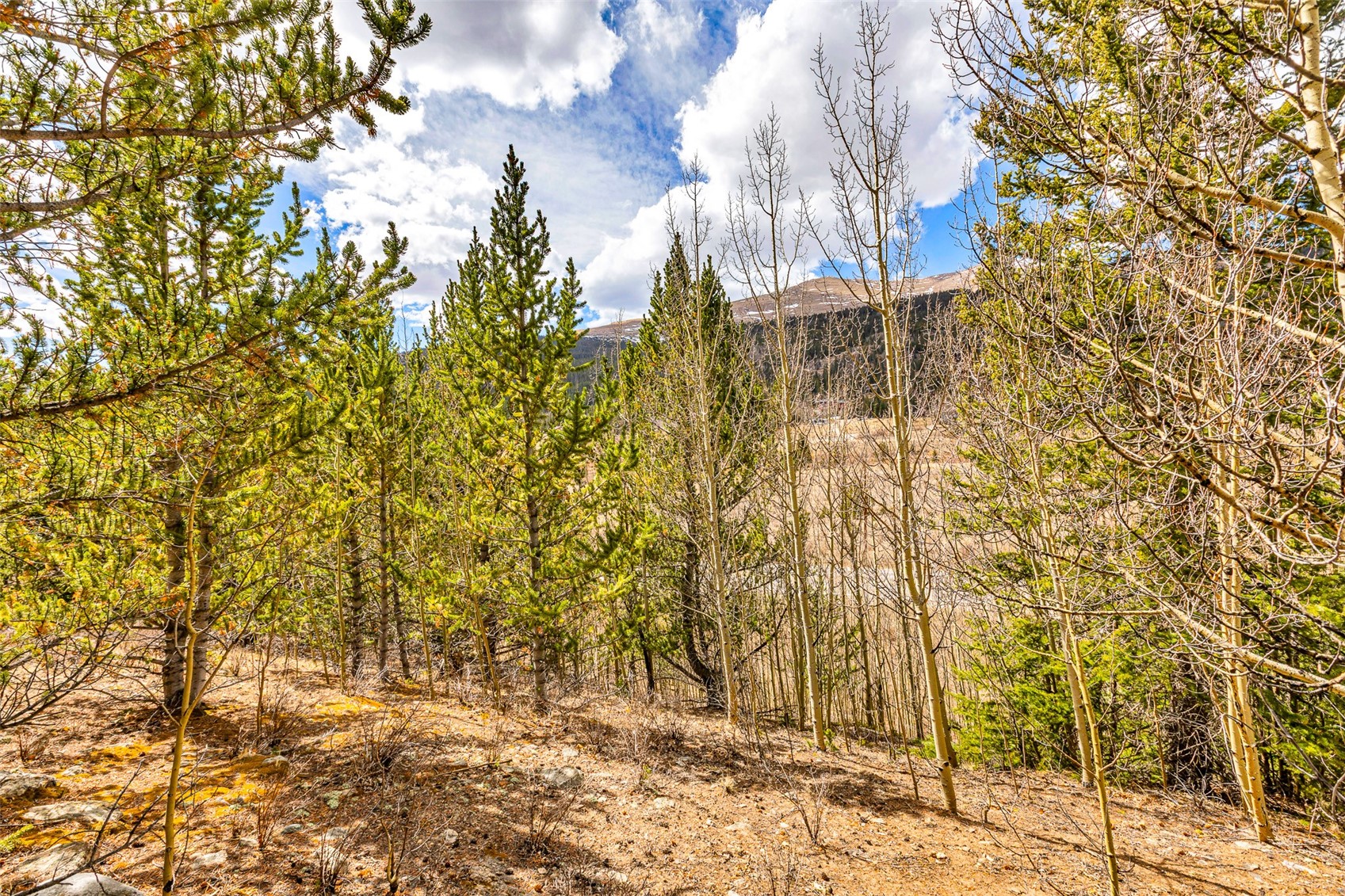 55780 Highway 9 Alma CO 80440