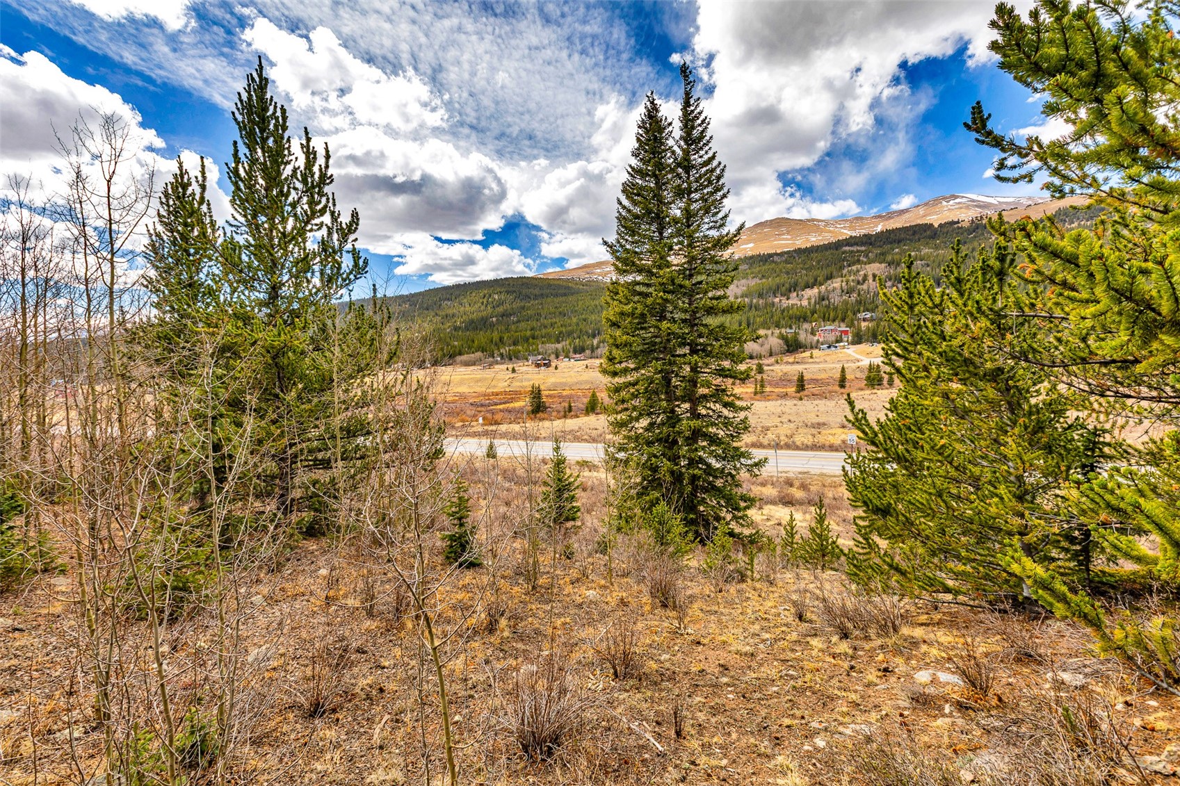 55780 Highway 9 Alma CO 80440