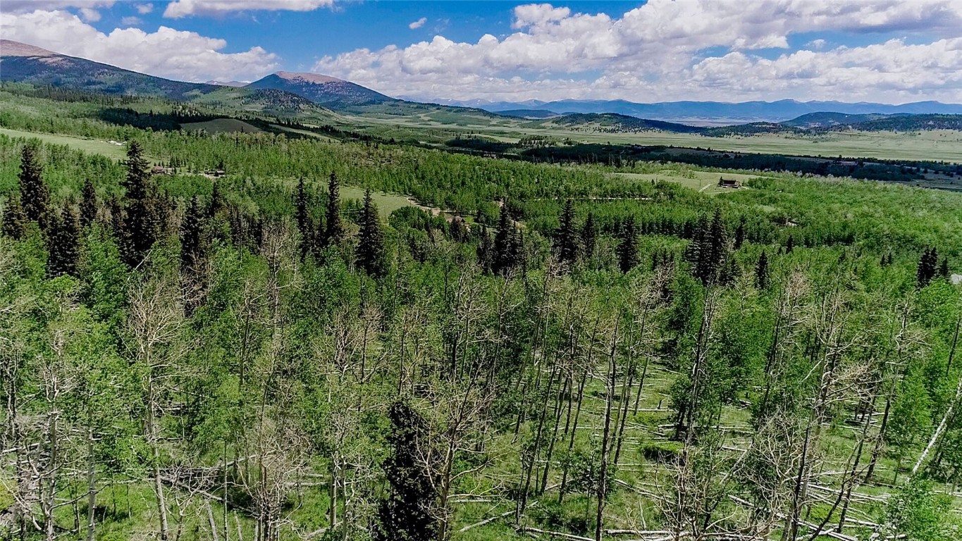 1047 Lumberjack Road Fairplay CO 80440