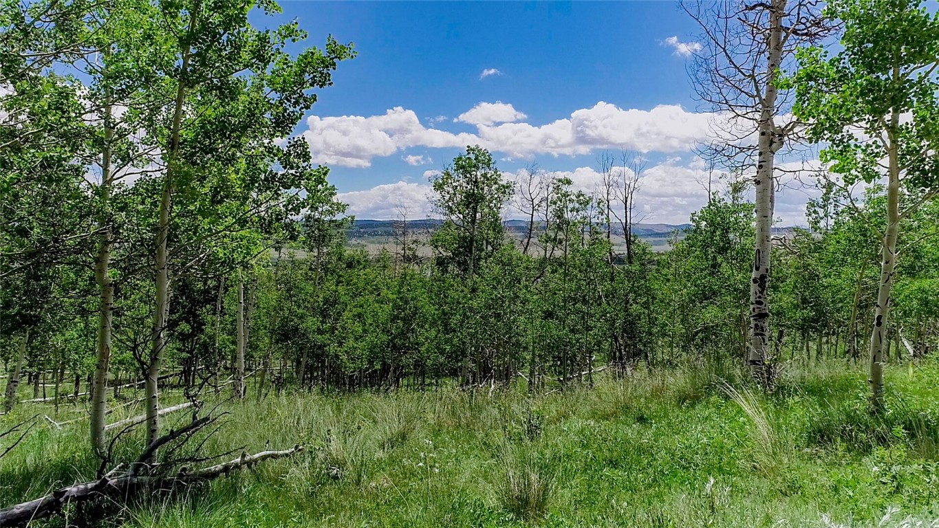 1047 Lumberjack Road Fairplay CO 80440