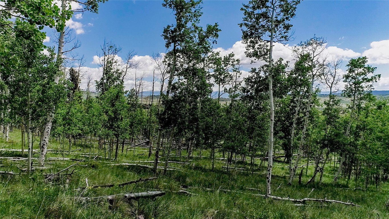 1047 Lumberjack Road Fairplay CO 80440