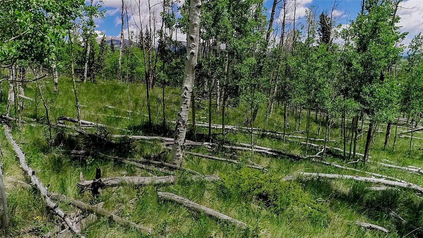 1047 Lumberjack Road Fairplay CO 80440